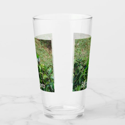 Grüner Papagei Glas (Links)