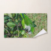 Grüner Papagei Handtuch (Handtuch)