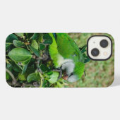Grüner Papagei iPhone Hülle (Rückseite (Horizontal))