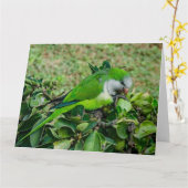 Grüner Papagei Karte (Gelbe Blume)