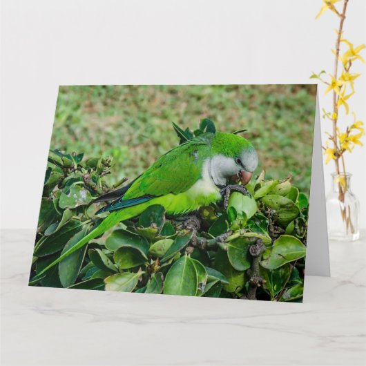 Grüner Papagei Karte (Gelbe Blume)
