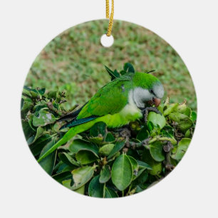 Grüner Papagei Keramik Ornament