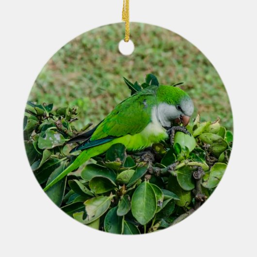 Grüner Papagei Keramik Ornament (Hinten)