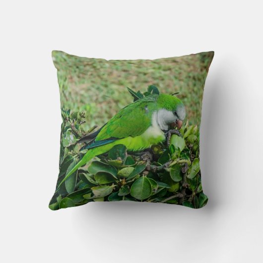 Grüner Papagei Kissen (Rückseite)