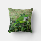 Grüner Papagei Kissen (Vorderseite)