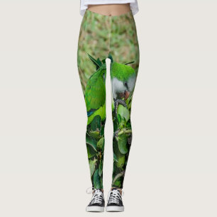 Grüner Papagei Leggings