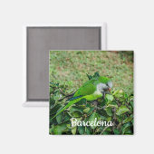 Grüner Papagei Magnet (Vorderseite/Rückseite)