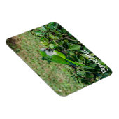 Grüner Papagei Magnet (Rechte Seite)