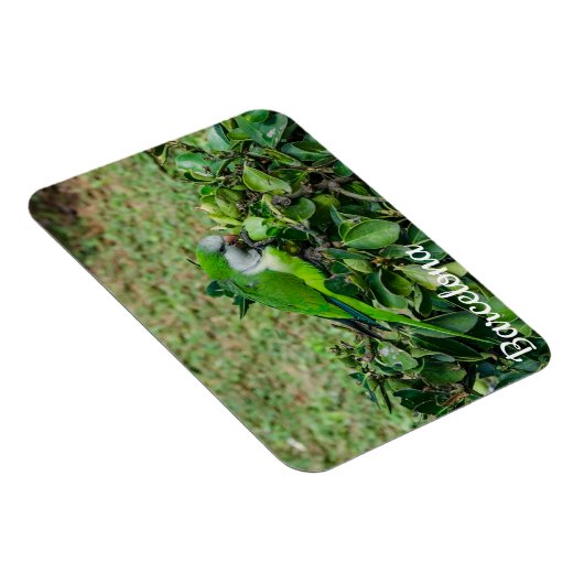 Grüner Papagei Magnet (Rechte Seite)