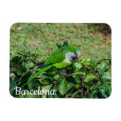 Grüner Papagei Magnet (Horizontal)