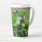 Grüner Papagei Milchtasse (Rechte Ecke)