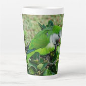 Grüner Papagei Milchtasse (Vorderseite)