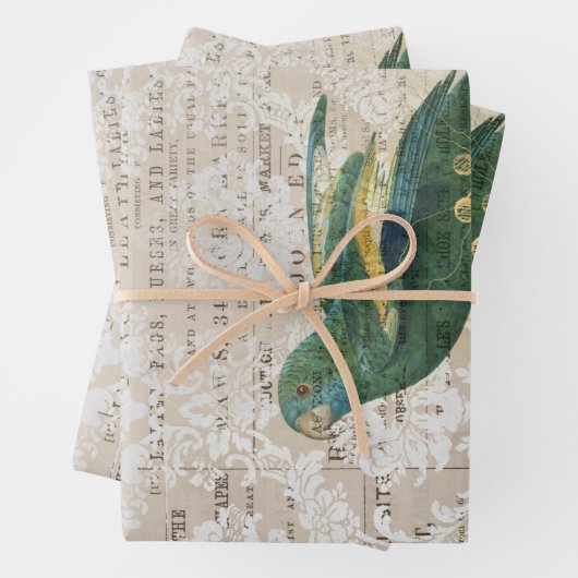 Grüner Papagei mit Rose in der Zeitung Geschenkpapier Set (Beispiel)