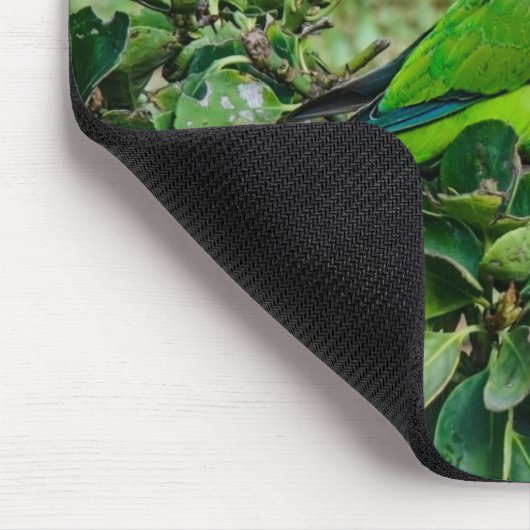 Grüner Papagei Mousepad (Ecke)