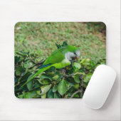 Grüner Papagei Mousepad (Mit Mouse)