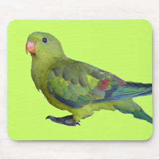 Grüner Papagei Mousepad