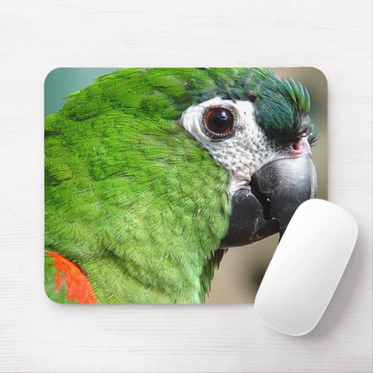 Grüner Papagei Mousepad (Mit Mouse)
