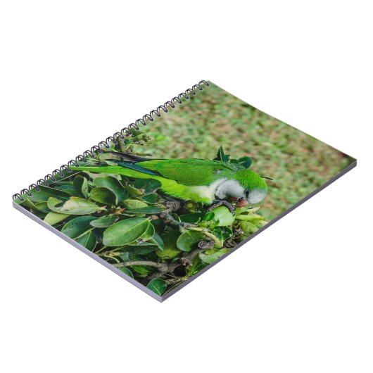 Grüner Papagei Notizblock (Linke Seite)