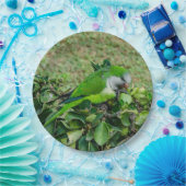 Grüner Papagei Pappteller (Party)