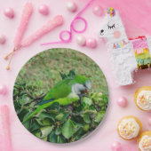 Grüner Papagei Pappteller (Party)