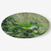 Grüner Papagei Pappteller (Schrägansicht)