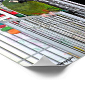 Grüner Papagei-Porträt Poster (Ecke)
