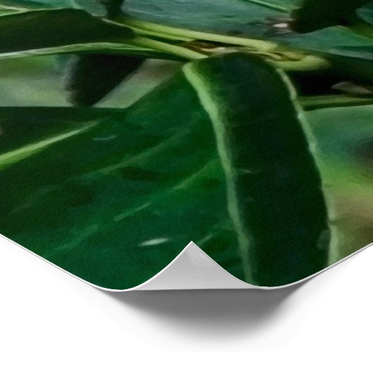 Grüner Papagei Poster (Ecke)