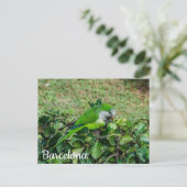 Grüner Papagei Postkarte (Stehend Vorderseite)