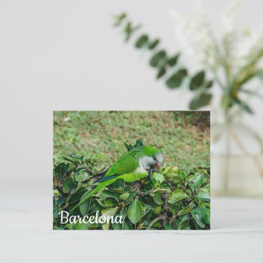 Grüner Papagei Postkarte (Stehend Vorderseite)