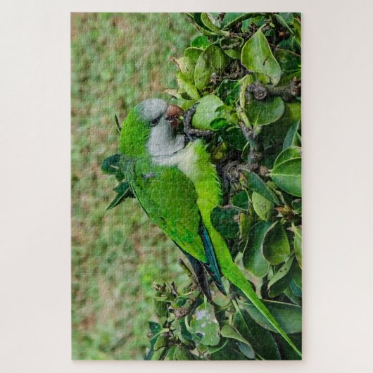 Grüner Papagei Puzzle (Vertikal)