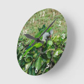 Grüner Papagei Runde Wanduhr (Winkel)