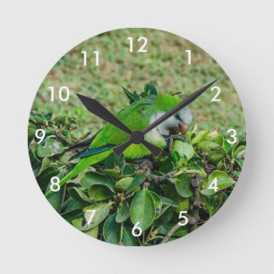 Grüner Papagei Runde Wanduhr