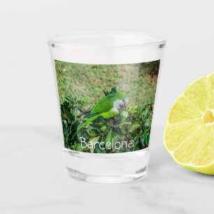 Grüner Papagei Schnapsglas