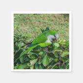 Grüner Papagei Serviette (Vorderseite)