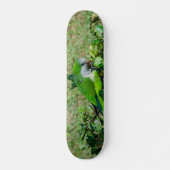 Grüner Papagei Skateboard (Vorne)