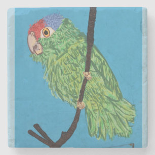 grüner Papagei Steinuntersetzer
