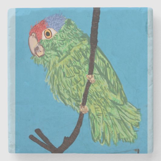 grüner Papagei Steinuntersetzer (Vorderseite)