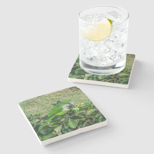 Grüner Papagei Steinuntersetzer (Seitenansicht)