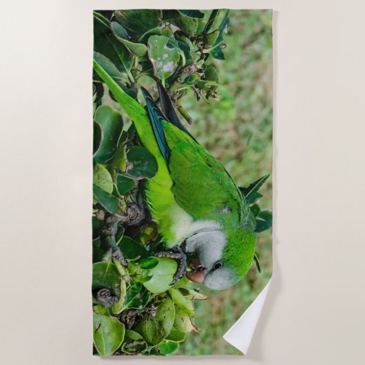 Grüner Papagei Strandtuch (Vorderseite)