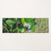 Grüner Papagei Yogamatte (Rückseite (Horizontal))