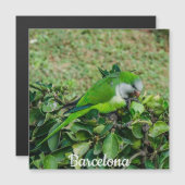 Grüner Papageienmagnet Magnetkarte (Vorne/Hinten)