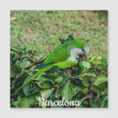 Grüner Papageienmagnet Magnetkarte (Vorderseite)