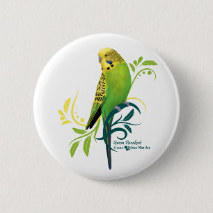 Grüner Parakeet Button