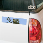 Grüner Paraketit Autoaufkleber (Auf Lkw)