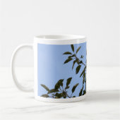 Grüner Paraketit Kaffeetasse (Links)