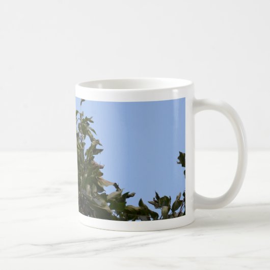 Grüner Paraketit Kaffeetasse (Rechts)