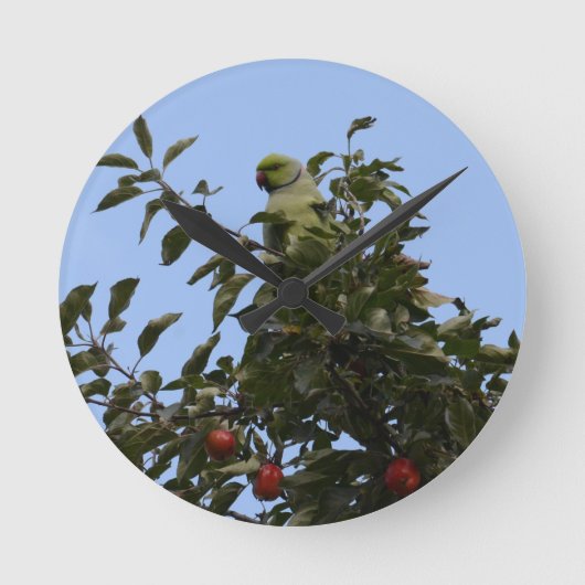 Grüner Paraketit Runde Wanduhr (Vorderseite)