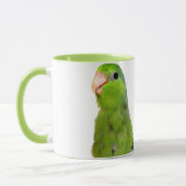Grüner pazifischer Parrotlet Vogel 11 Tasse (Links)