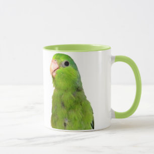 Grüner pazifischer Parrotlet Vogel 11 Tasse