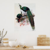 Grüner Pfau, Pavo muticus, 1872 Monografie von Pha Poster (Küche)